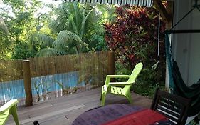 Confortable T1 Le Gosier, Wi-Fi, Piscine Dans Gite